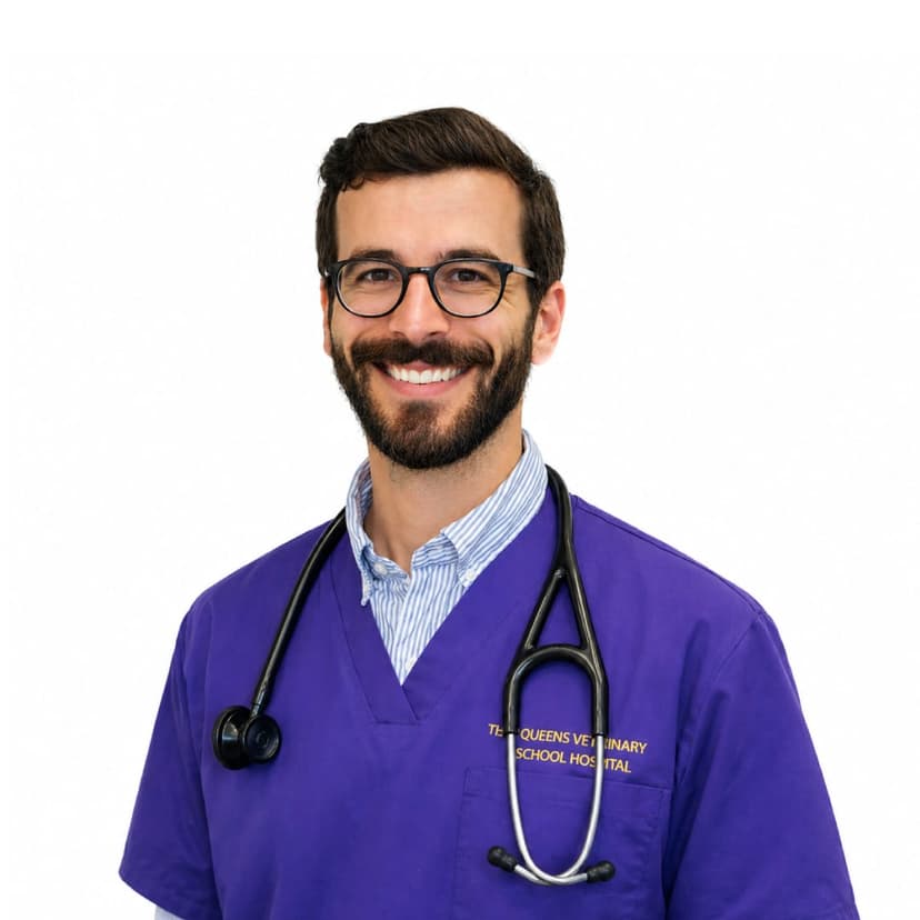 Prof. Jose Novo Matos