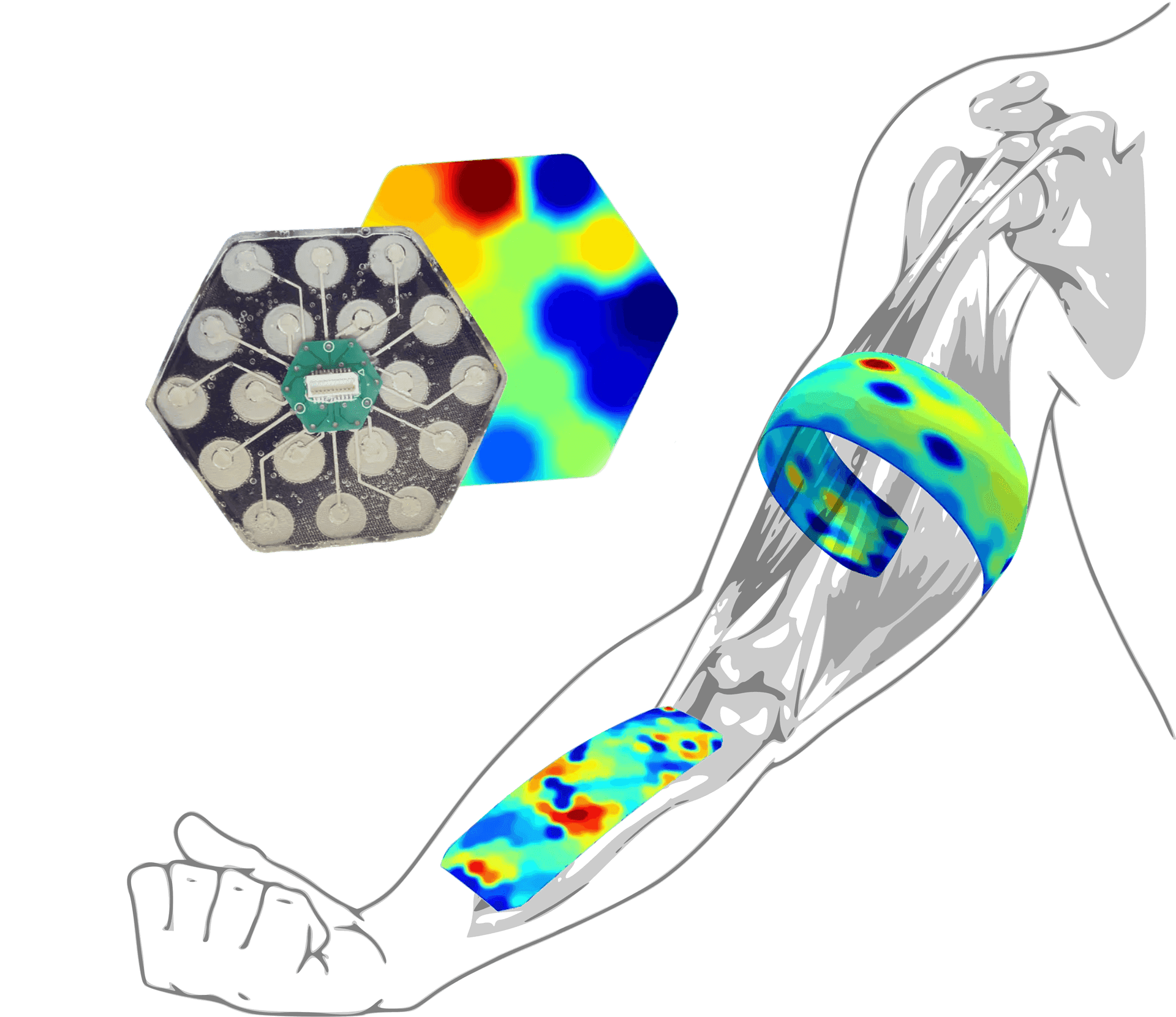 Polytecks hexagonal electrode array on forearm