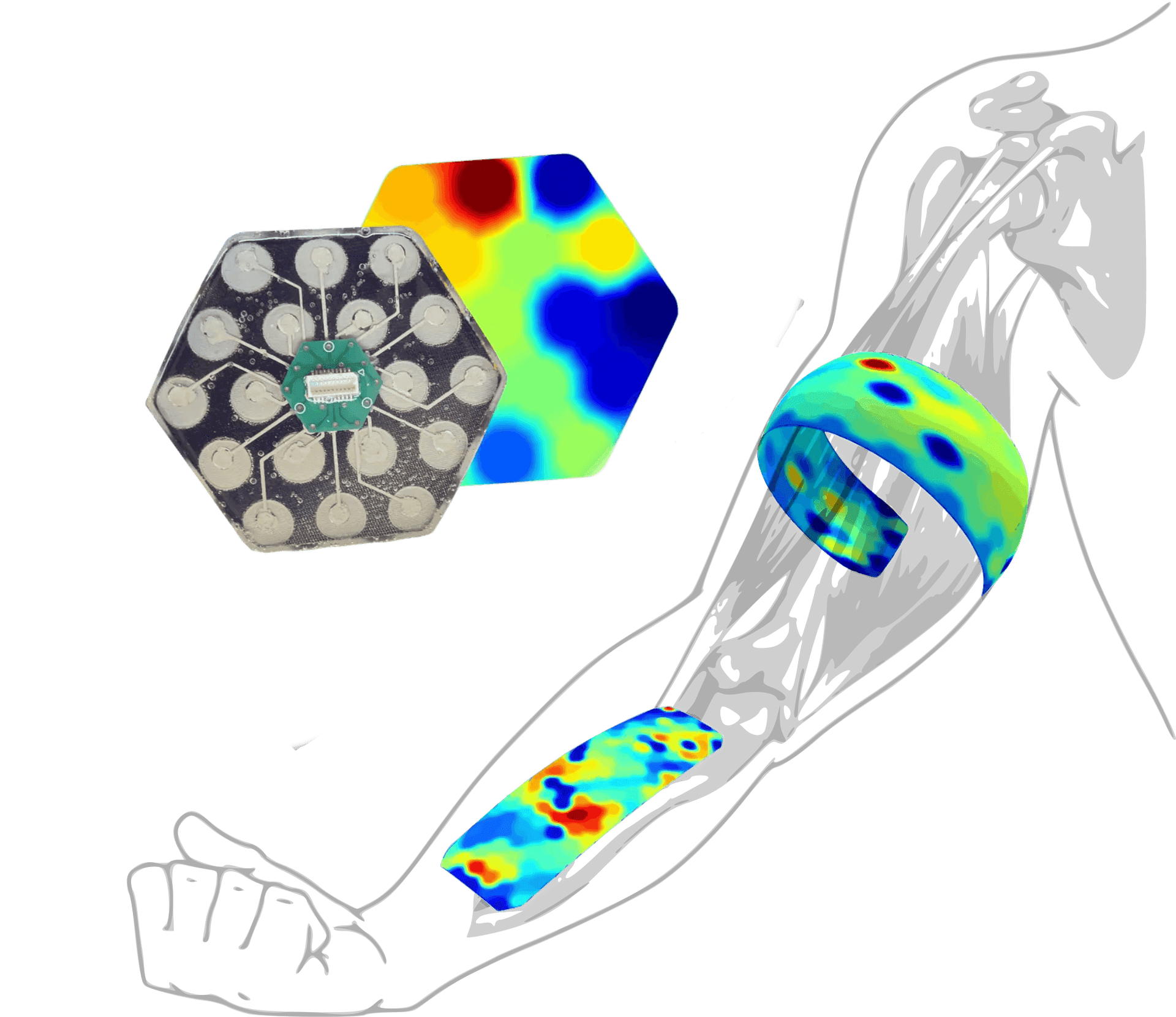Polytecks hexagonal electrode array on forearm